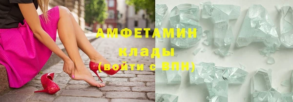 ПСИЛОЦИБИНОВЫЕ ГРИБЫ Тайга