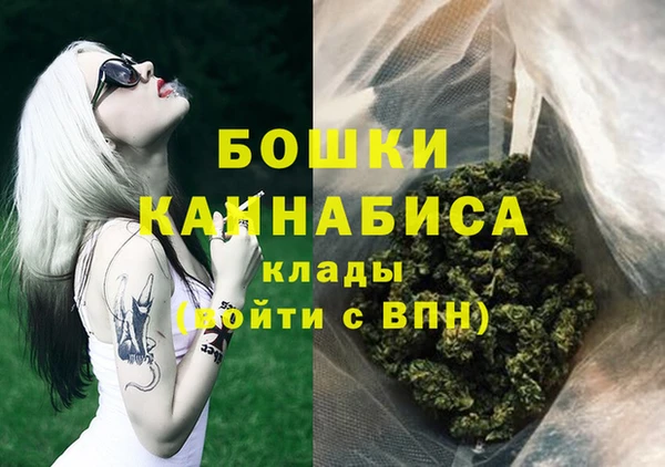 дурь Бронницы