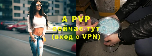 PSILOCYBIN Верхний Тагил