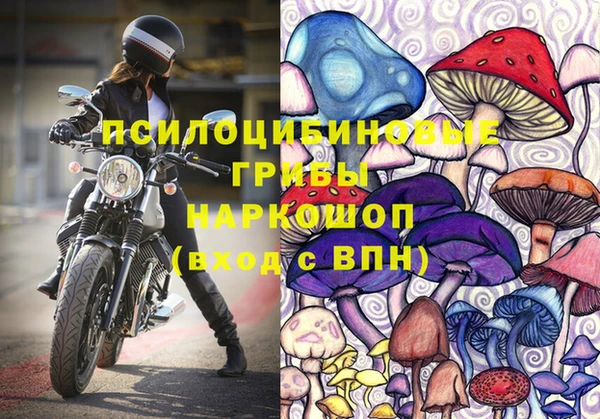 дурь Бронницы