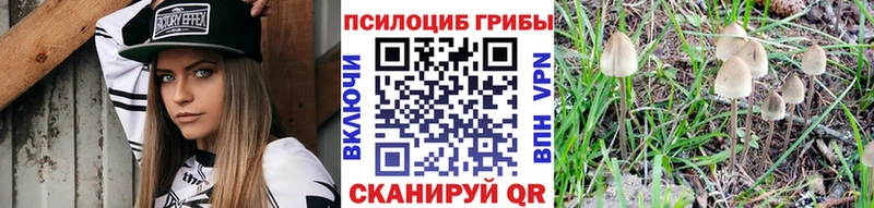 Псилоцибиновые грибы GOLDEN TEACHER  Медногорск 