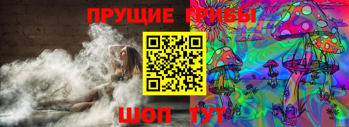 Медногорск  Псилоцибиновые грибы мухоморы  Вход с VPN 