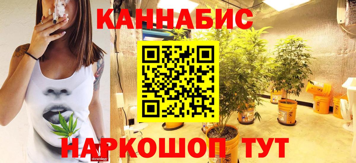 Медногорск  Бошки марихуана планчик  Вход с VPN  Шишки марихуана Amnesia  Бошки марихуана LSD WEED 